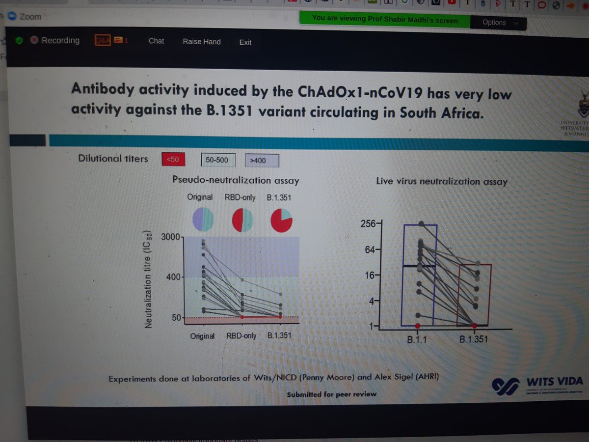 Significant drop in antibodies.