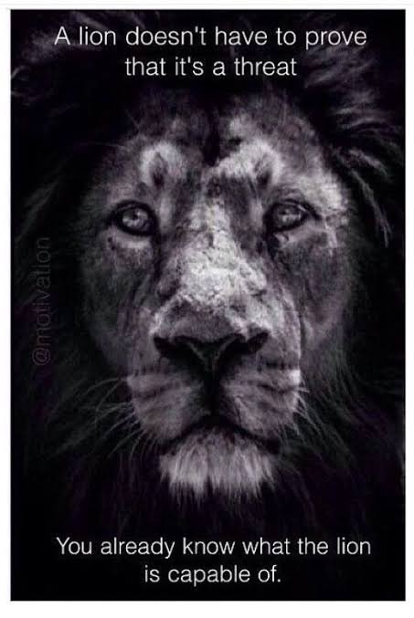 nilotpalm3's tweet photo. A Lion Does not have to prove that it’s a threat , You already know what the lion is capable of . Bhaukaal Kayam Rahe . https://t.co/vY23wPV8Lk