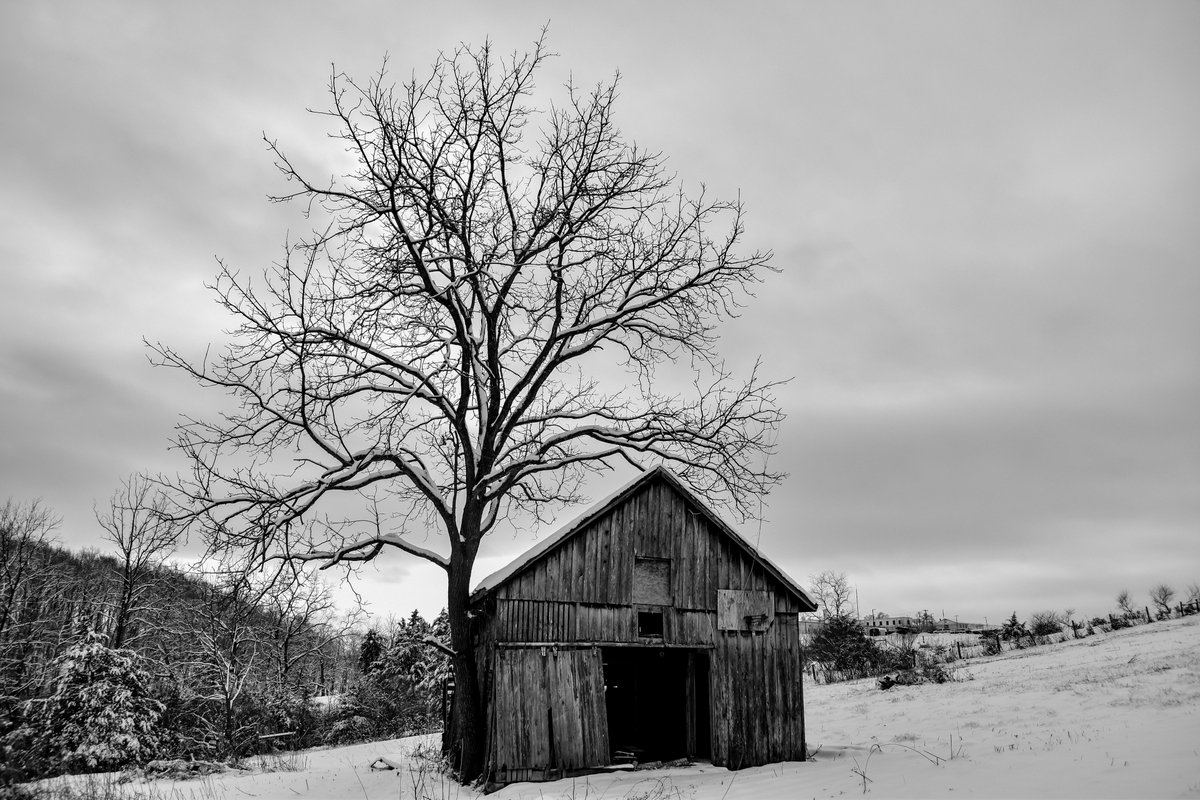 Fife Paranormal tweet media