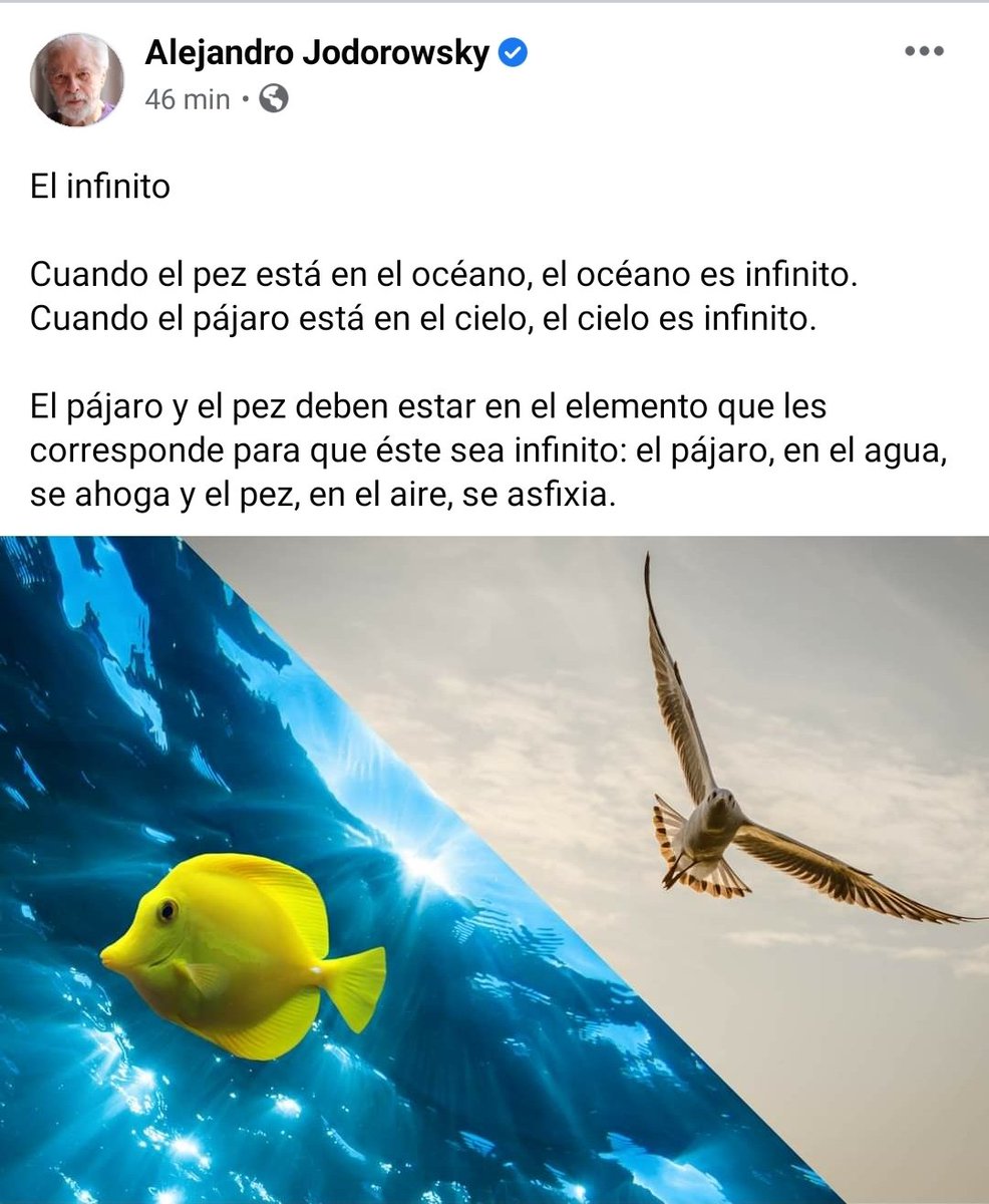 alejodorowsky's tweet photo. El infinito https://t.co/VIvmy6qNSj