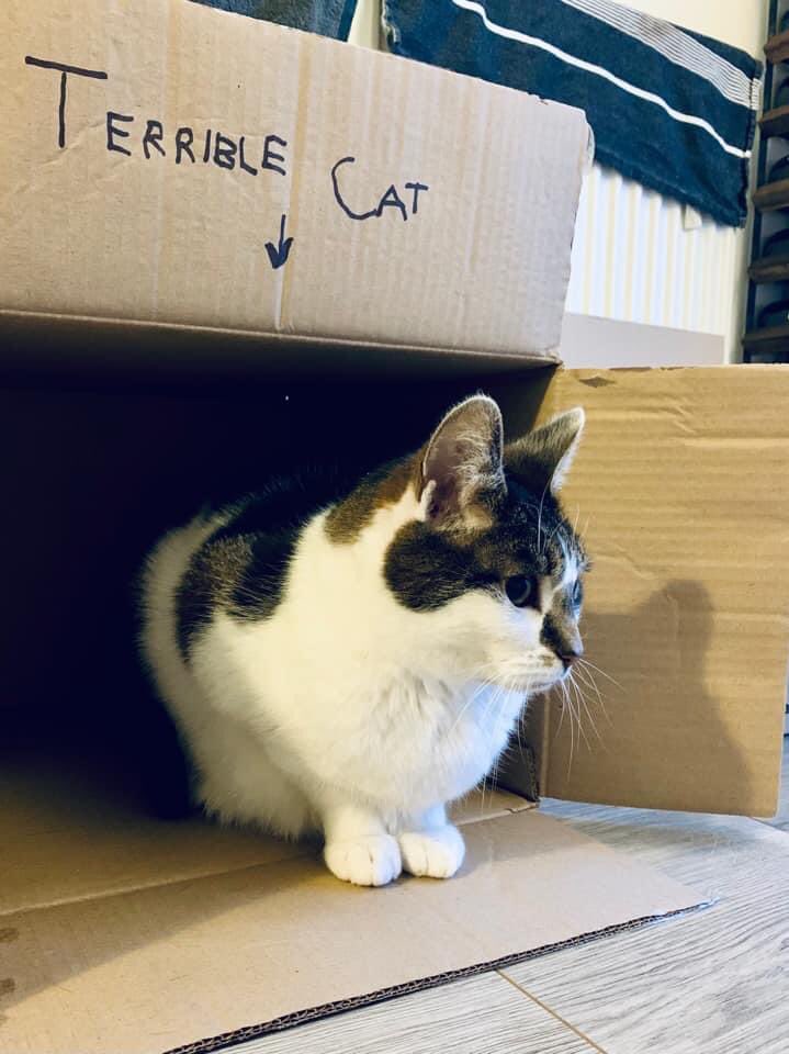 How it started
How it’s going