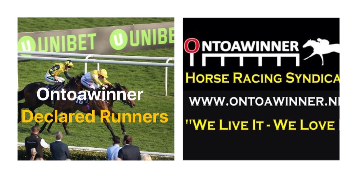 ontoawinner7's tweet photo. 🐎 One Runner Declared Monday 8th February 2021🐎

Horse: Mo Henry 

Jockey: Jessica Anderson

Trainer - @adrian_keatley 

Course: @WolvesRaces 

Time: 4.30pm 

Wishing all the best to connections ☘️

#ontoawinner https://t.co/VxcKlr8hWV