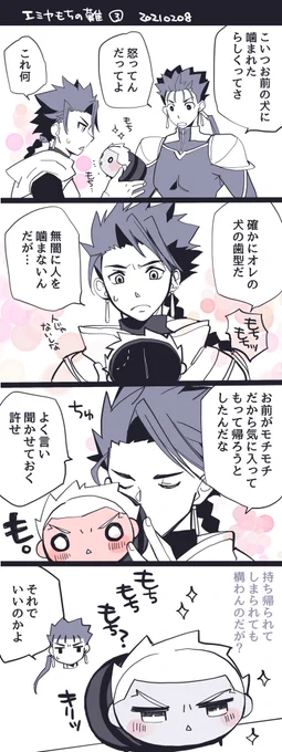 エミヤもちは全てのクーフーリンを口説く 