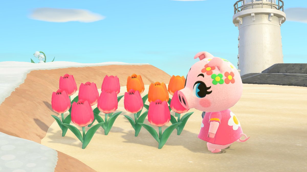 ileplume's tweet photo. gala smelling flowers on the beach. #AnimalCrossing #ACNH https://t.co/Ob6anW8RHv