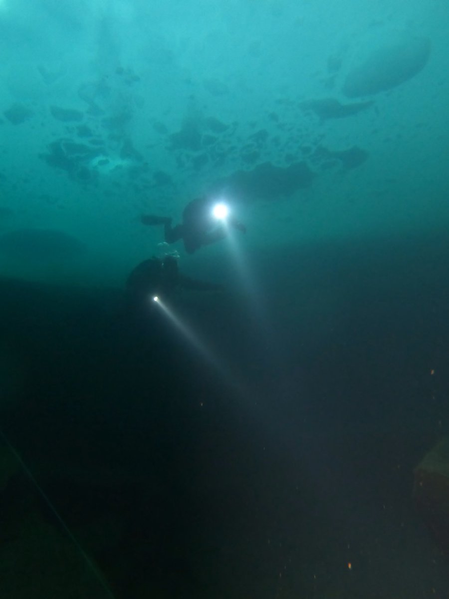 TeppoLallukka tweet media