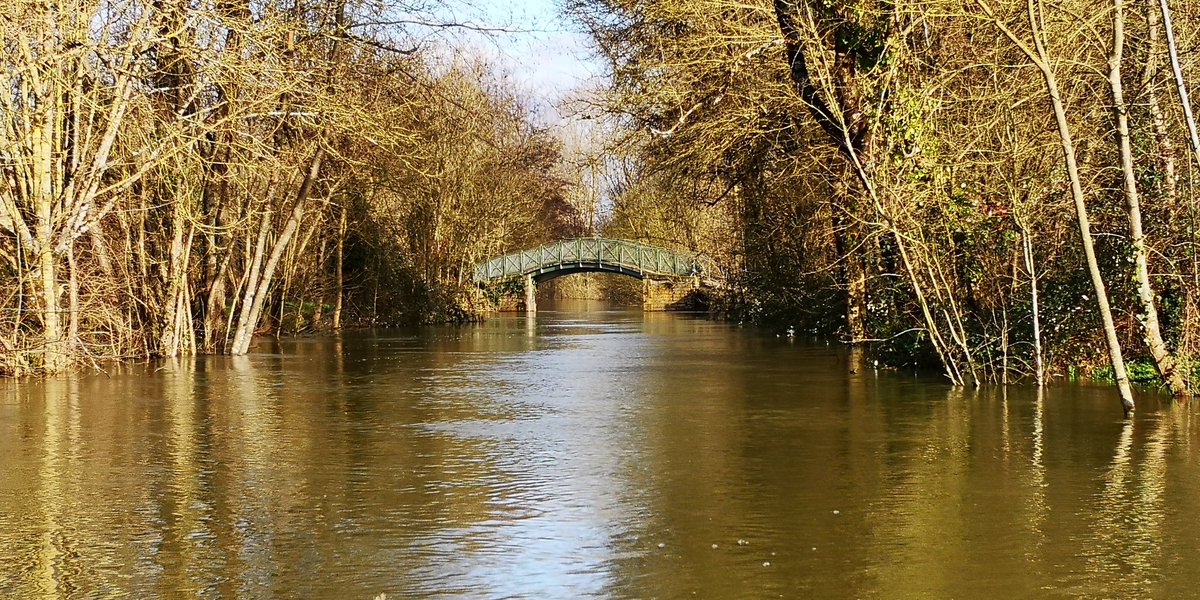 lessabotsbleus's tweet photo. La passerelle d'Arçais enjambant la Grande Rigole de la Garette par une après midi ensoleillée... https://t.co/VkdOGYnSCn