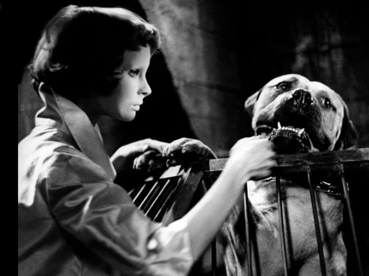DoyleofDarkness's tweet image. “My face frightens me. My mask frightens me even more.” - Christiane Génessier (Édith Scob), EYES WITHOUT A FACE (1960)

#EyesWithoutaFace #LesYeuxsansvisage #PierreBrasseur #ÉdithScob #GeorgesFranju #Horror #Fantastique #HorrorFilms #FrenchCinema #TheHorrorChamberofDrFaustus