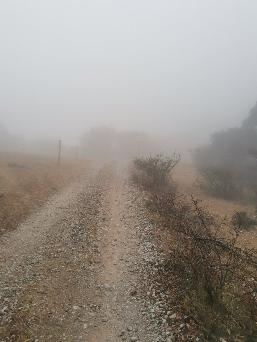 LeconaAdrian's tweet photo. Día de Cerro ⛰️⛰️⛰️
#suunto #timetoplay #buendia #YoElegiCorrer #corrermeha #running #runner #runners #domingo #DomingoEspetacular https://t.co/DNGBeFvYdu