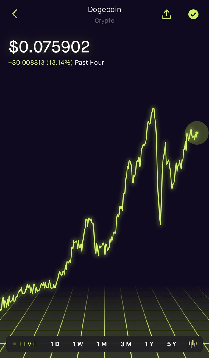 TheBigBink's tweet image. I hope y’all held on to $Doge