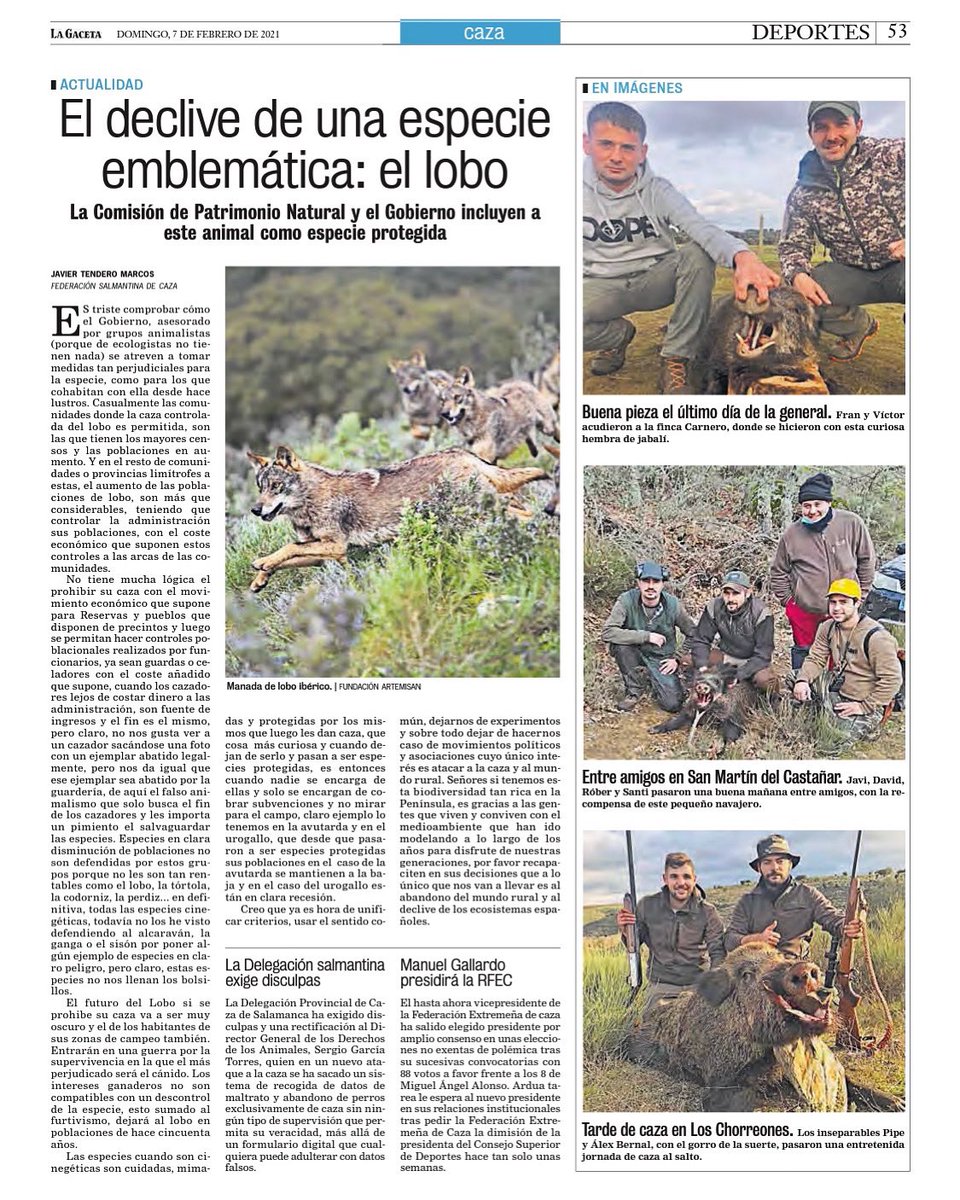 ✅ Nueva colaboración para La Gaceta de Salamanca.

‼️ El declive de una especie emblemática: el lobo 🐺

👉🏻 ¡FEDÉRATE!