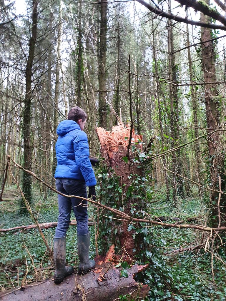 Francis Nesbitt tweet media