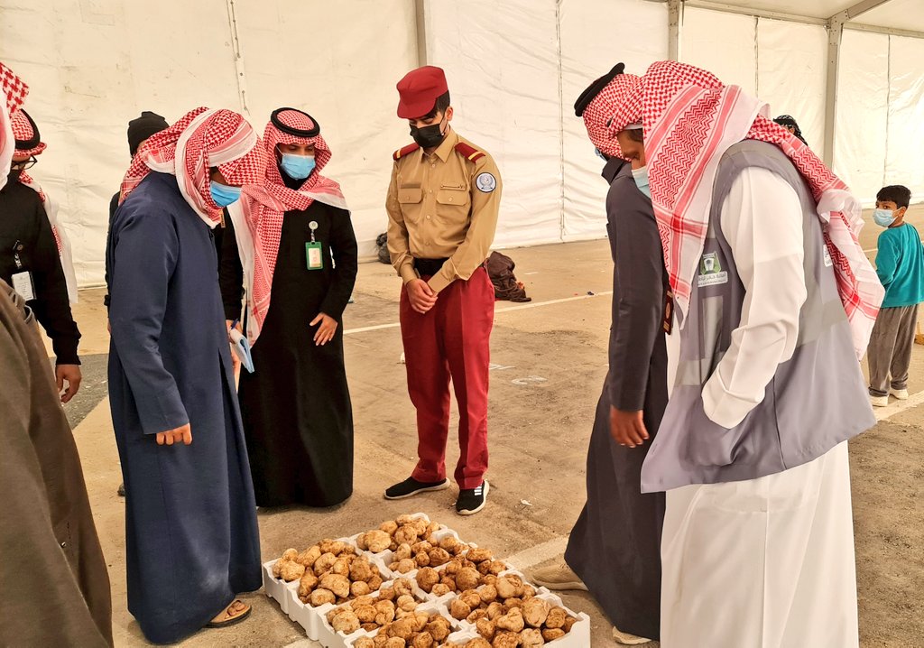 sawt_alakhbar's tweet photo. واصل سوق #الكمأ "2021م" بمحافظة #حفرالباطن استقبال الأهالي والزوار من جميع مناطق المملكة، ودول الخليج مع وجود عدد من الباعة والمسوقين للكمأ، الذي يعد الأول من نوعه بالخليج، وتتراوح الأسعار من 300 إلى 900 ريال للكيلوجرام الواحد بحسب النوع والجودة والحجم. @trufflehafar https://t.co/yRWqnxEy4h
