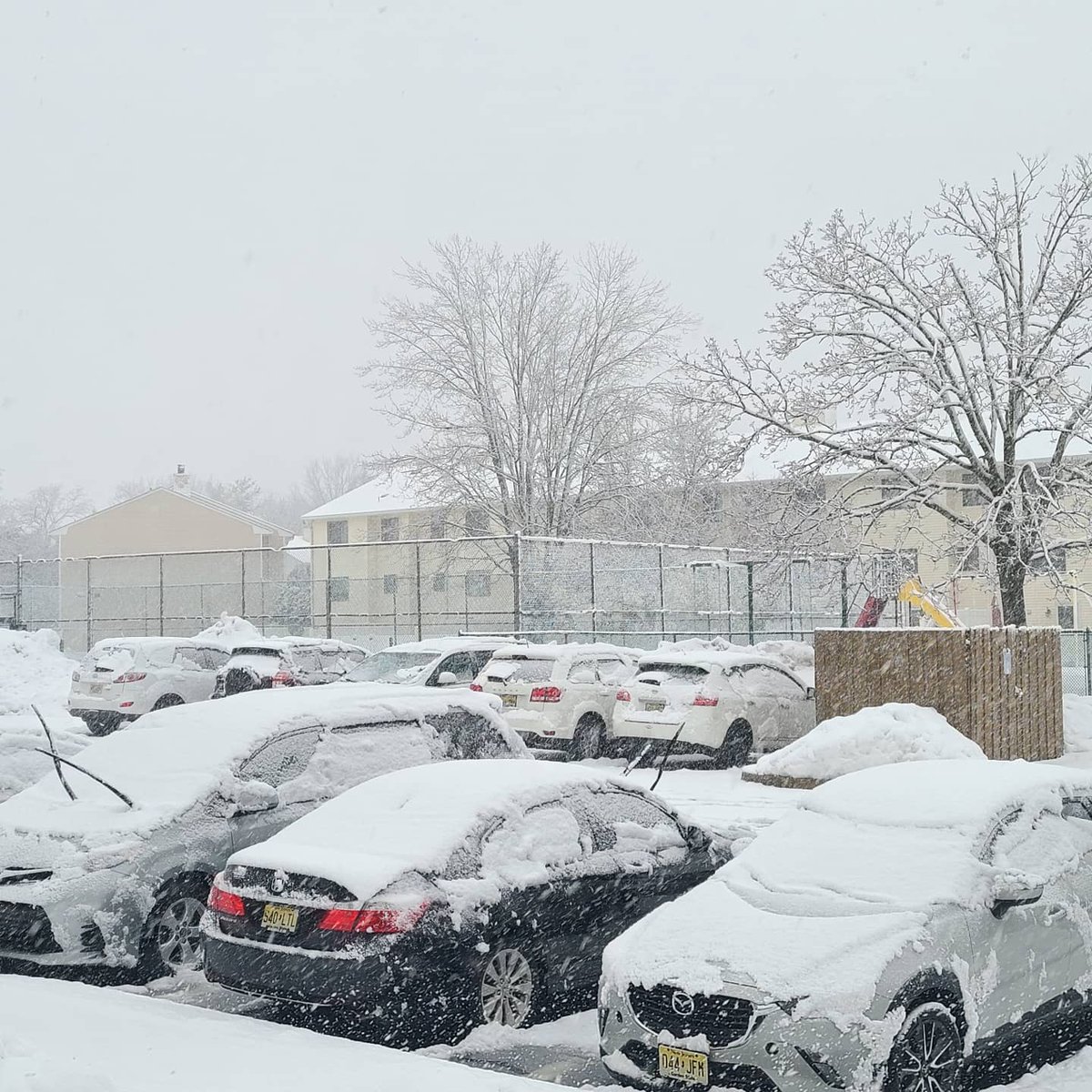 brian_bonafitz's tweet photo. Pics of a very snowy #SuperBowlSunday outside of #FitzManor! Stay inside &amp; stay safe today, folks! #SundayFitz #Weekend #SuperBowl #LetItSnow #MiddletownNJ #QuarantineDadLife #FitzGirlsRule #February #WinterFitz https://t.co/FsQrdg779y