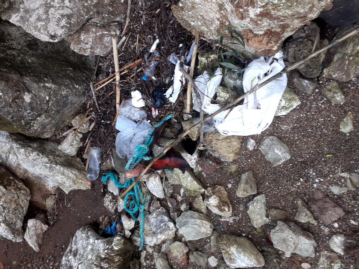 SharonBozkurt's tweet photo. Before &amp; after of today's #beachcleanup 🚮

#plasticpollution #plasticfree #zerowaste #savetheplanet #ecofriendly #environment #pollution #singleuseplastic #climatechange #sustainability #noplastic #plasticfreeliving #nature #plasticpollutes #saynotoplastic #beatplasticpollution https://t.co/P5ENEhXdAb