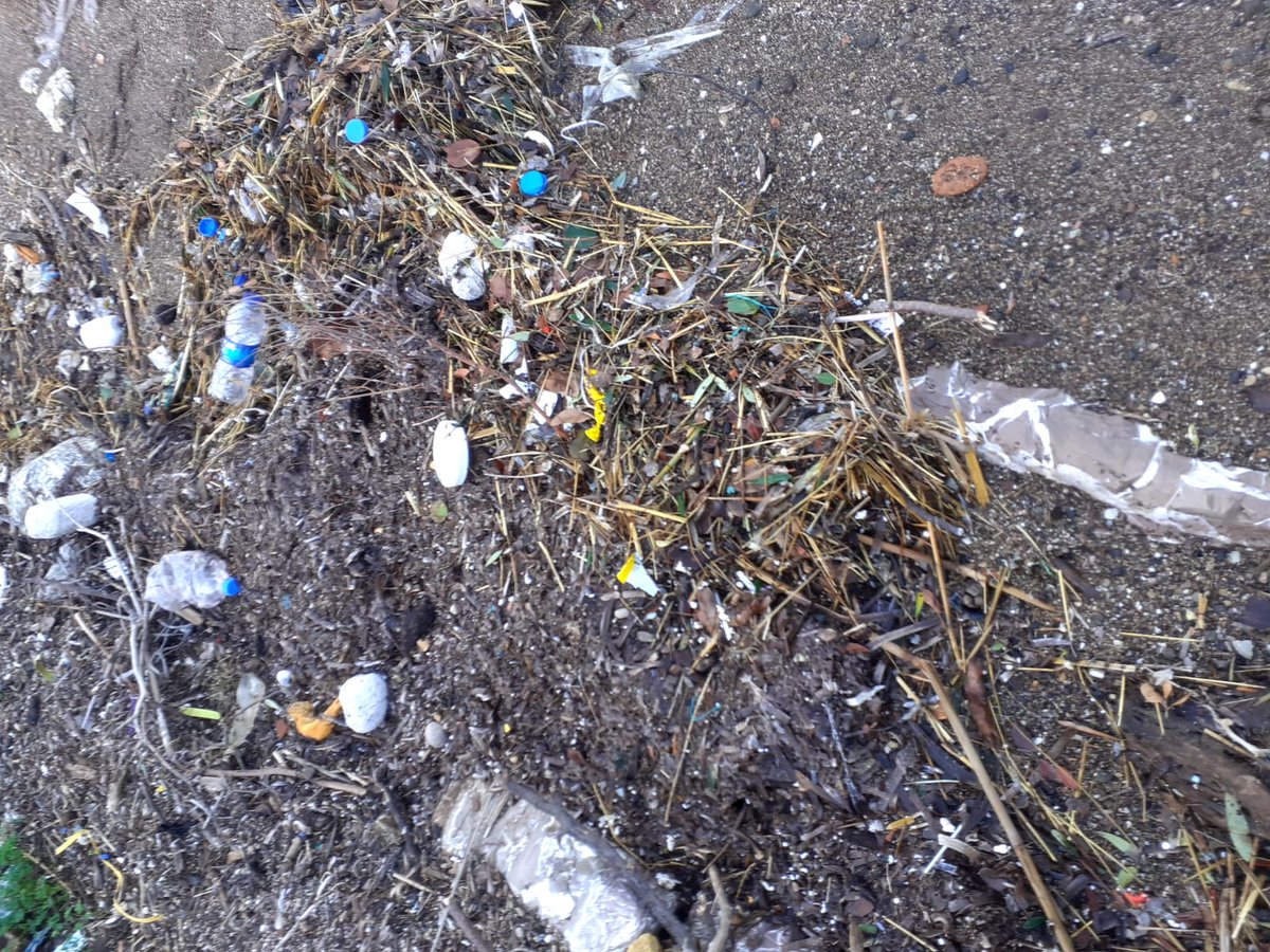 SharonBozkurt's tweet photo. Before &amp; after of today's #beachcleanup 🚮

#plasticpollution #plasticfree #zerowaste #savetheplanet #ecofriendly #environment #pollution #singleuseplastic #climatechange #sustainability #noplastic #plasticfreeliving #nature #plasticpollutes #saynotoplastic #beatplasticpollution https://t.co/P5ENEhXdAb