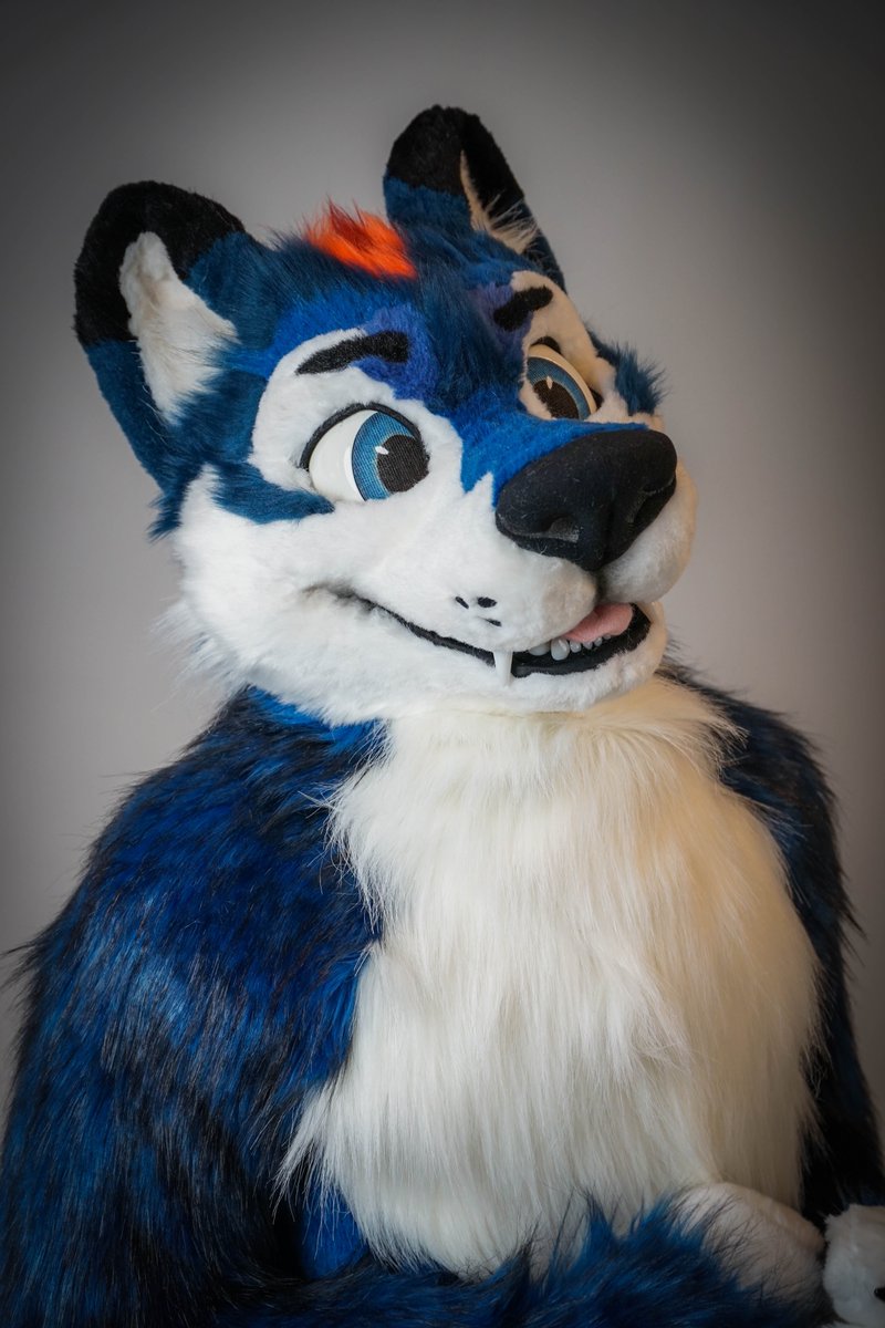 WaggeryCos's tweet photo. Make some space for this sweet wuff! Welcome @SpaceWuffy to the Waggery Family! 💙 https://t.co/LKM61wcqoX