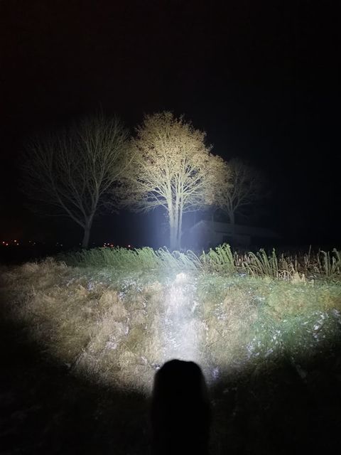 FenixLinternas's tweet image. Fénix TK16-V2.0 3100 Lúmenes y 380 mts haz de luz.
beamshots. Saber más en: bit.ly/36TEAOe
#TK16-V2.0 #linternafenix #linternaled #linternaledpotente #edc #everydaycarry #linternatactica #linternapolicial #linterairsoft #airsoft