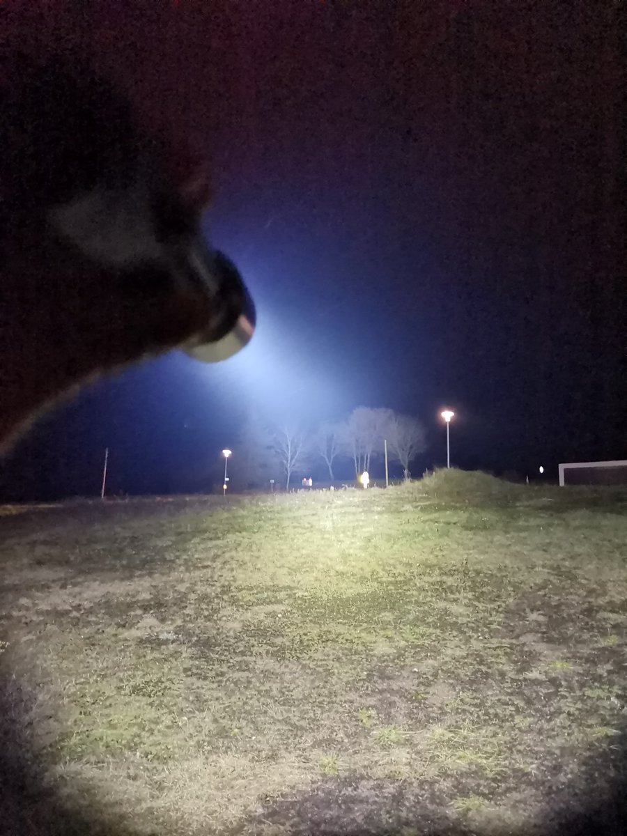 FenixLinternas's tweet image. Fénix TK16-V2.0 3100 Lúmenes y 380 mts haz de luz.
beamshots. Saber más en: bit.ly/36TEAOe
#TK16-V2.0 #linternafenix #linternaled #linternaledpotente #edc #everydaycarry #linternatactica #linternapolicial #linterairsoft #airsoft