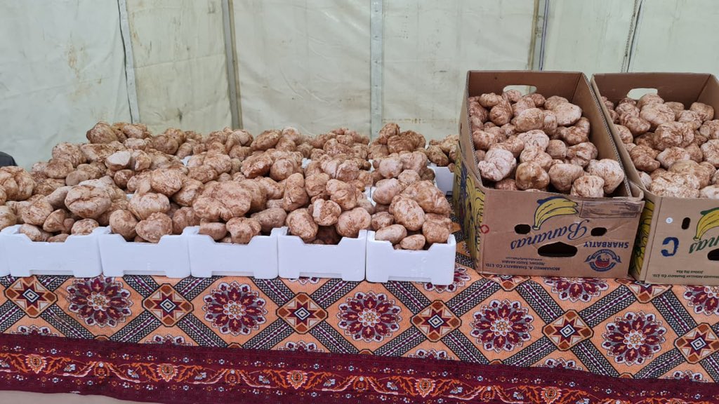 722h_com's tweet photo. واصل سوق الكمأ "2021م" بمحافظة #حفرالباطن استقبال الأهالي والزوار من جميع مناطق المملكة، ودول الخليج مع وجود عدد من الباعة والمسوقين للكمأ، الذي يعد الأول من نوعه بالخليج، وتتراوح الأسعار من 300 إلى 900 ريال للكيلوجرام الواحد بحسب النوع والجودة والحجم. @trufflehafar https://t.co/raGhwpyiAg