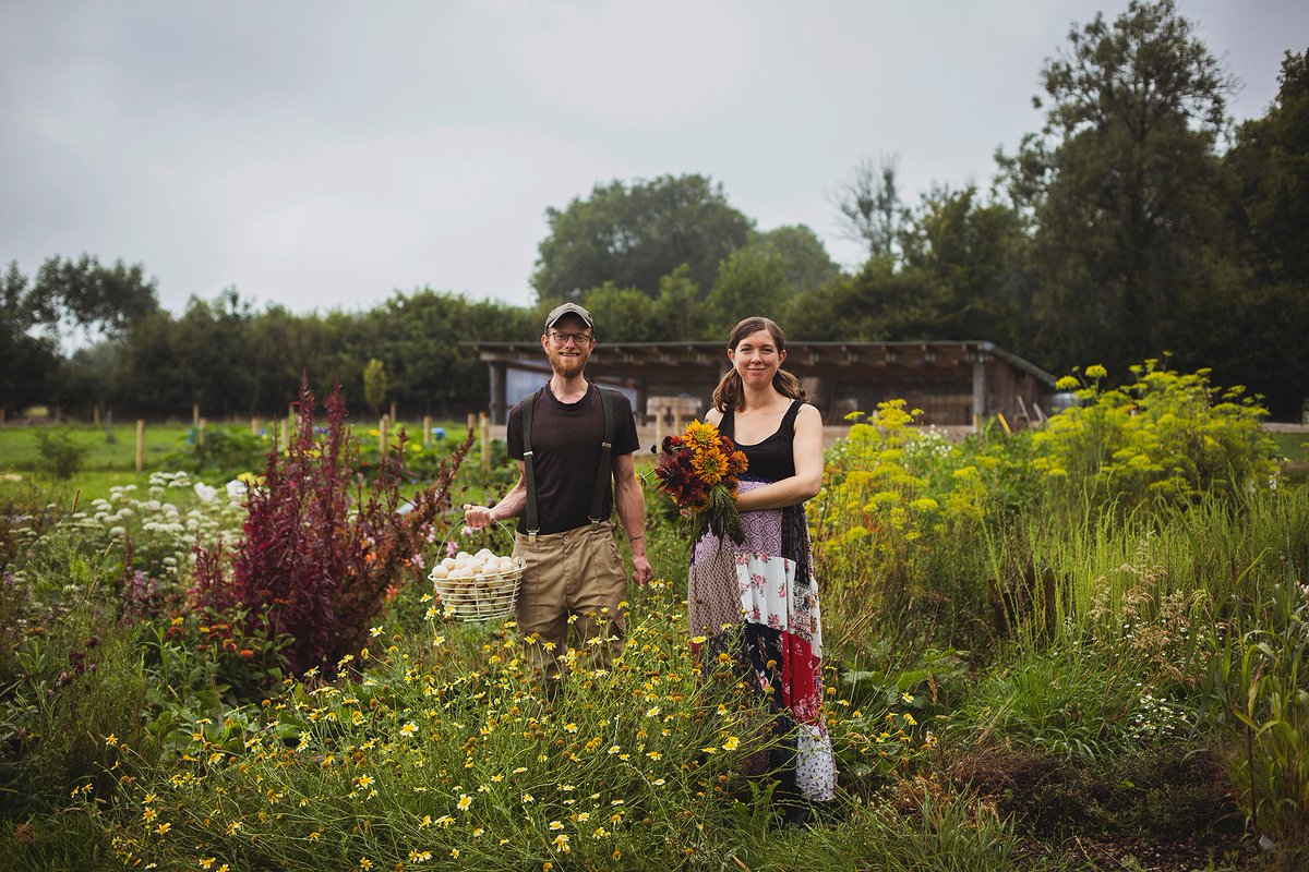 Regagroforestry's tweet photo. In our next episode, we interview Josh Heynecke from Parc Carreg on how ducks and blueberries work together, and how Josh and his partner Abi are using integrative practices to optimise their small acreage. 

LINK HERE: https://t.co/VWfxyLrkK8

#agroforestry #silvopasture https://t.co/nCHr6RUByO