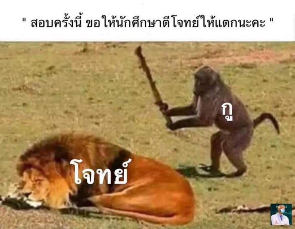ขำขำสะเกดดาว @13PMJ