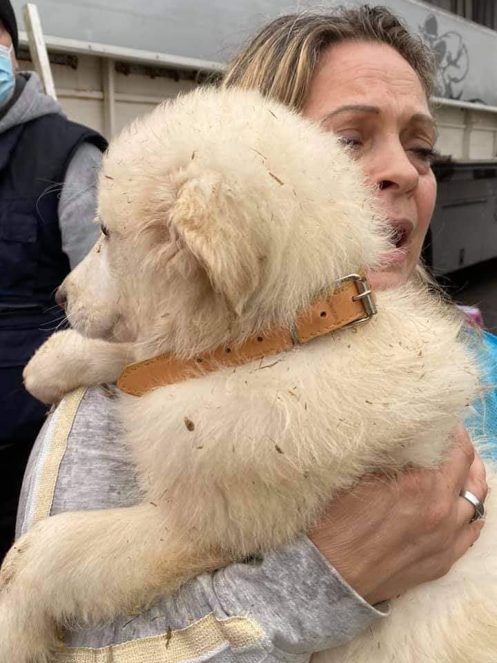 Agnese Sgroia ed il suo staff... Grazie di aver recuperato i cagnolini. Elisabetta Barbieri da lassù vi ha guidate❤️