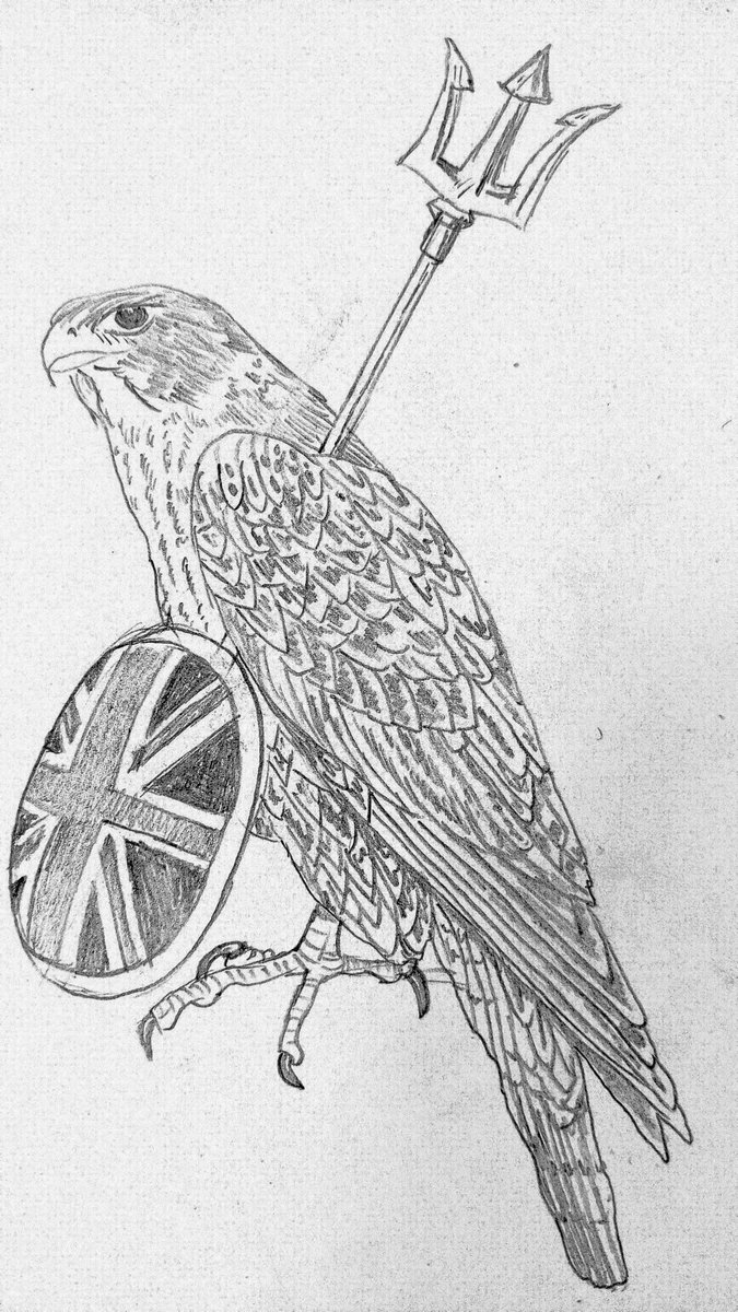 HannahMayPape's tweet photo. @CXX_Squadron How about a better version of my Britannia falcon? 🙂 https://t.co/iEVyG3rv0Q