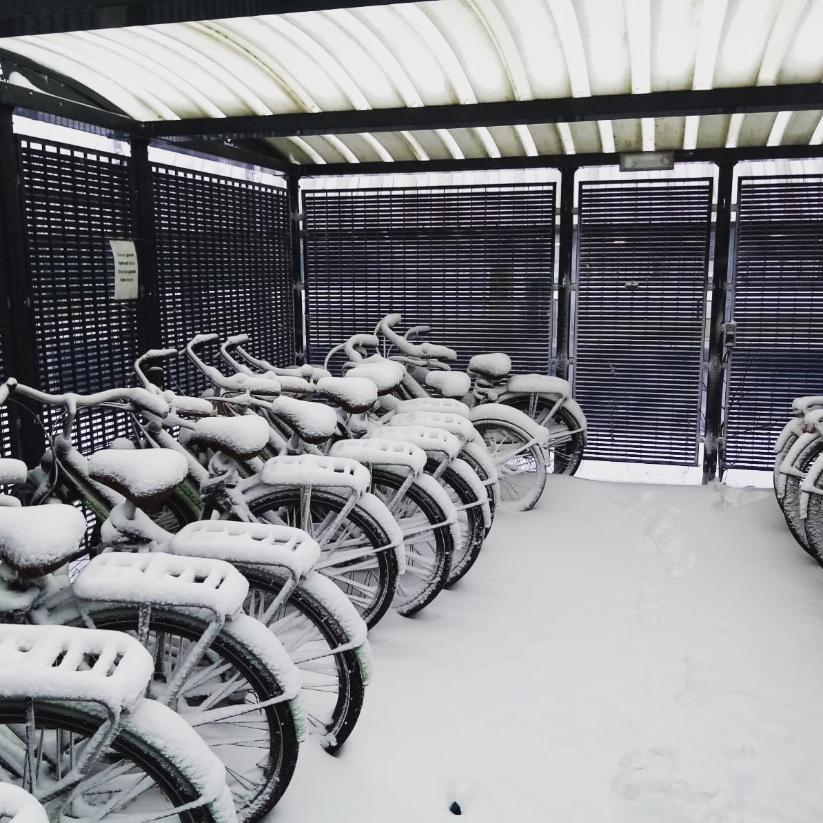 Let it snow, let it snow ⛄️❄️

#haarlem #accorhotels #hotel #visithaarlem #ibisstyles #snow