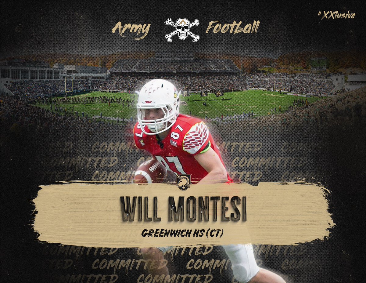 William Montesi tweet media