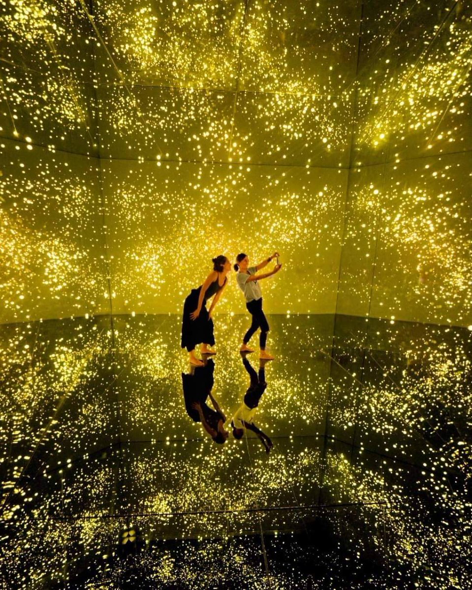 Museo de luces en #Tulum (donde parece que no existe el perro covid). 🌴✨✨