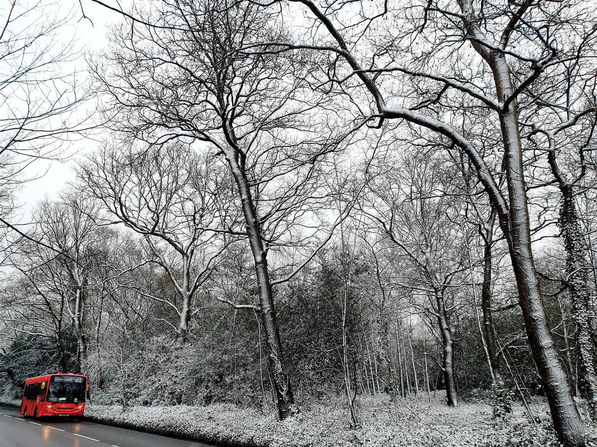 Paul Dunn tweet media