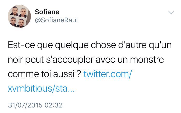 Il y a sûrement d'autres propos, je n'ai pas tout récupéré parce qu'il a changé de compte (SofianeRaul c'était son ancien nom).
Ils en pensent quoi de tes propos tes anciens camarades de CPE Lyon ? Je vais même pas afficher ton adresse parce que t'es bien caché à Oman.