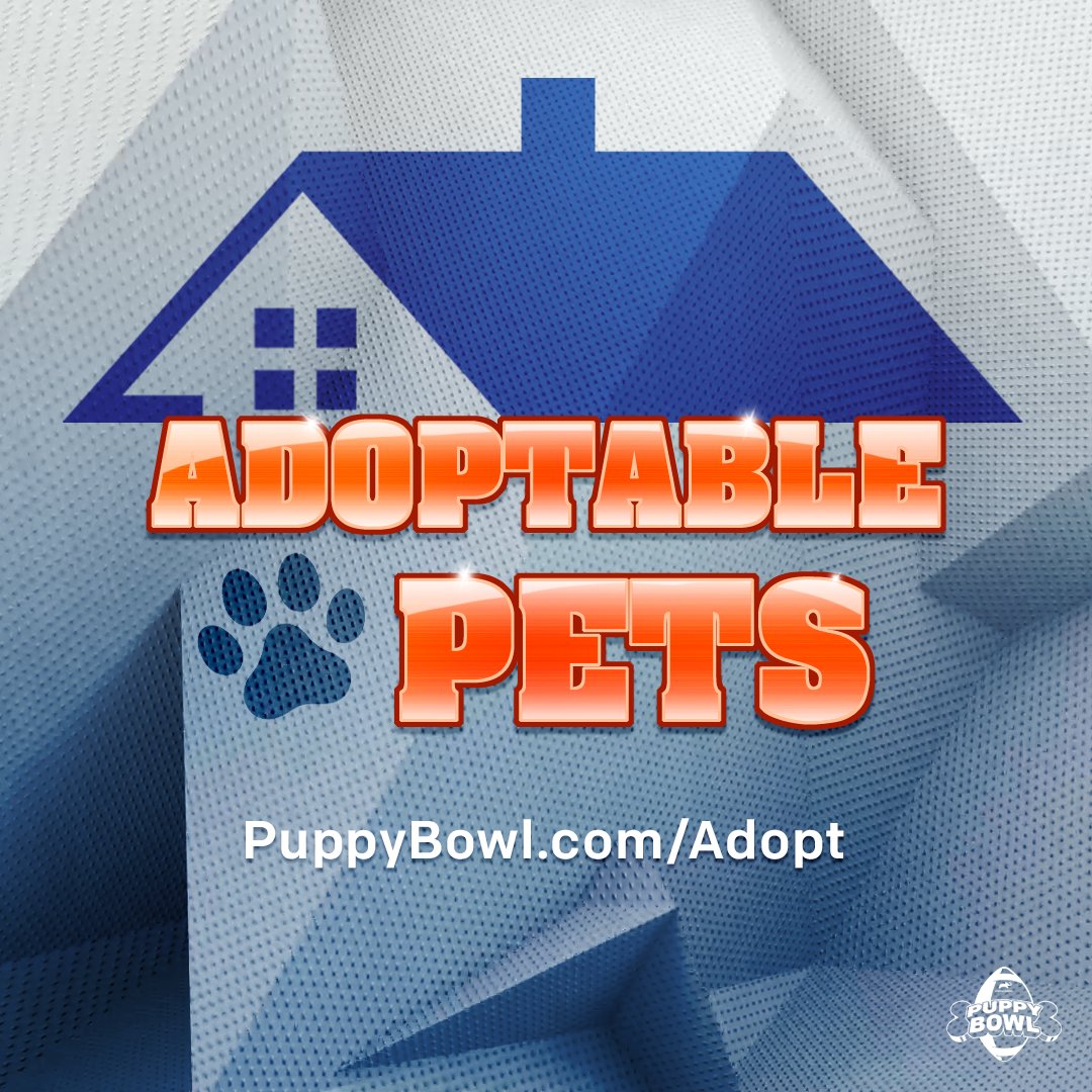 AnimalPlanet's tweet photo. The loudest call to action to adopt don’t shop is here! 📣

Here’s a thread of this year’s adoptable friends 👇

Visit https://t.co/0HkYlpw1lO to learn more! #PuppyBowl https://t.co/lE5yfTPbZs
