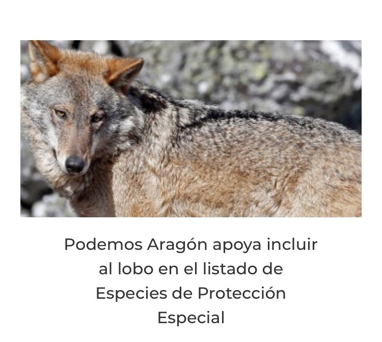 Tatiana Cardenal tweet media