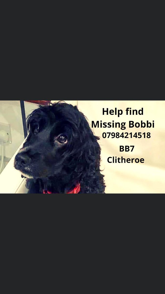 <a href="/RobBiddulph/">Rob Biddulph</a> hi Rob, Please can you RT? X🐾 #findBobbi 🐾I’m Bobbi, a lost cocker spaniel &amp; I’m desperate to go home to my loving family. I think you can help me TONIGHT Please help me take over every laptop, tablet and phone with the hashtag #findBobbi. facebook.com/groups/1522070…