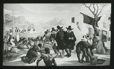 “all that black brood living among us, who have been bred from marriages and other forms of mingling with European… For there is no trusting the blood of Ham, especially as the black people are constantly being favoured and pushed forward…” (6/7)