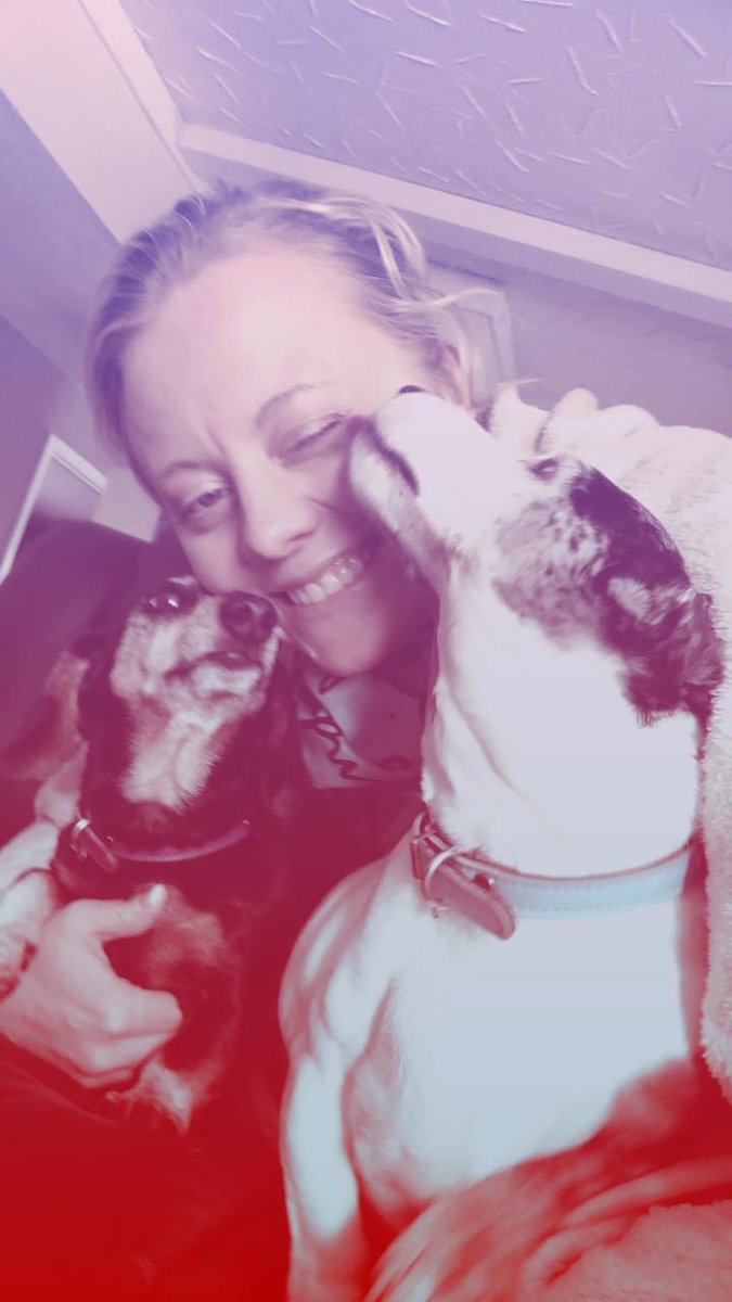 lorettargregory's tweet photo. #PuppyBowlXVII watching with my 15 and 11 year old dachshunds #snacktime https://t.co/KJD2uLhERy