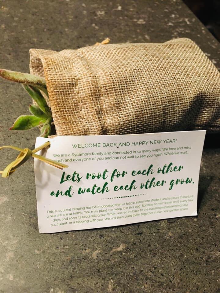 tamnicoll's tweet photo. @jennifernvictor @kelly_zvobgo Congratulations Dr. Zvobgo!  Sycamore IS a purposeful and creative learning community. Even online during quarantine. This photo is a small example of the myriad ways in which Sycamore cherishes and empowers students. I’m so glad to connect! https://t.co/R2a72VgSrA