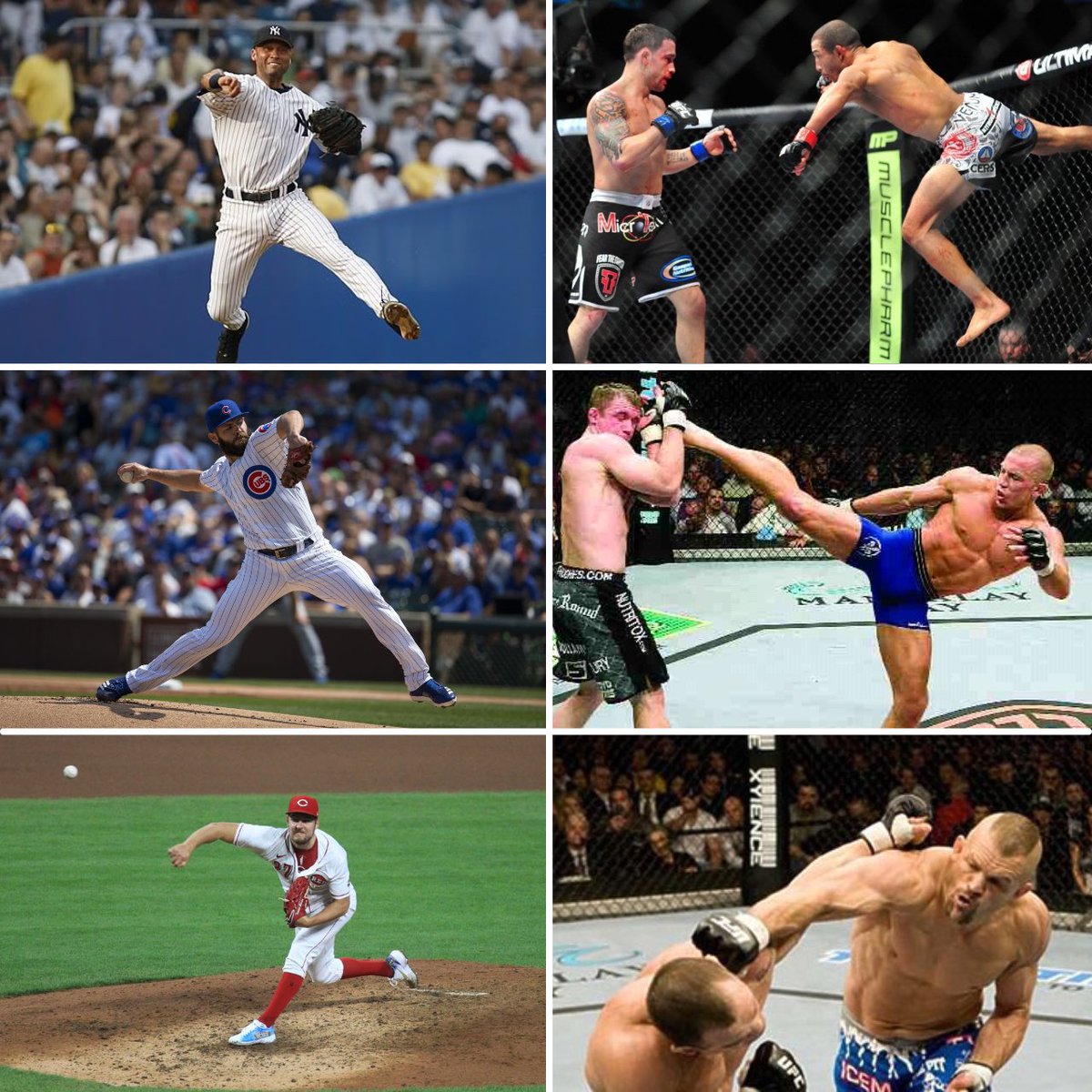 Lion’s Den Baseball Training Center tweet media