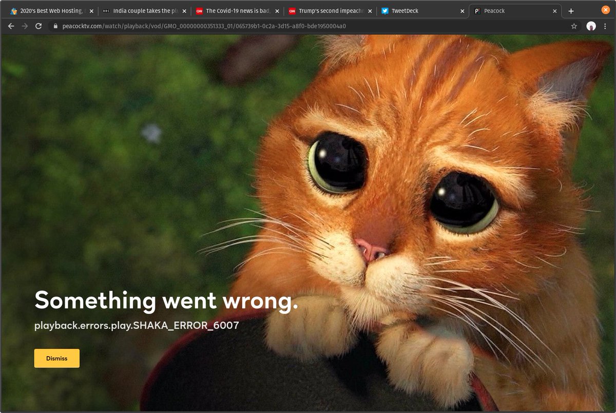 ScreenwriterM's tweet image. RT @peacockTV PLEASE fix the chrome error on @ubuntu OS!!!!  I want to watch @nbcsnl!!!  I don&apos;t need to see ERRORS anymore!!! #FixChromeError #Ubuntu #IwanttoseeSNL
