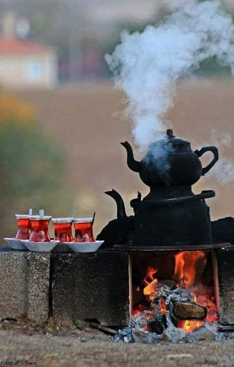 Kıymet bilen insanlara zaafım var.
Onlar incili kaftan, gerisi ise yamalı fistan. (Cahit Zarifoğlu)