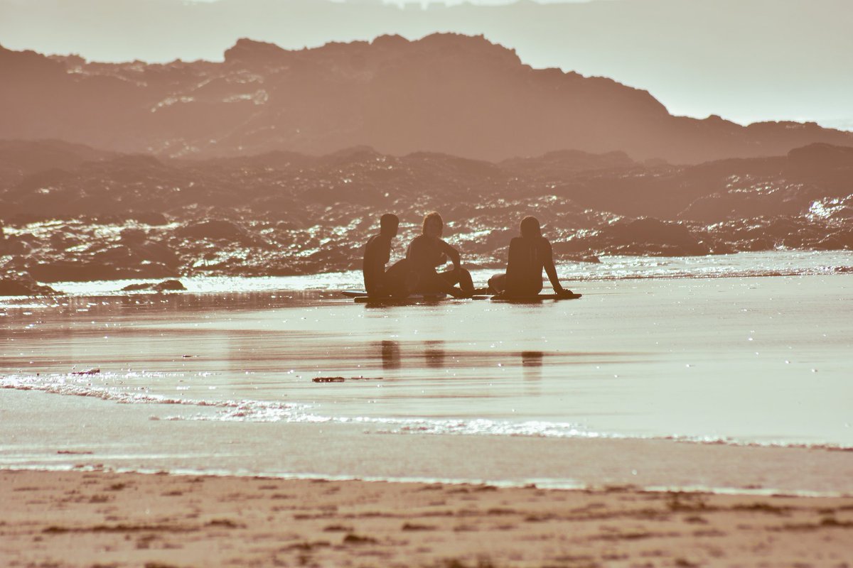 Media Hub tweet media