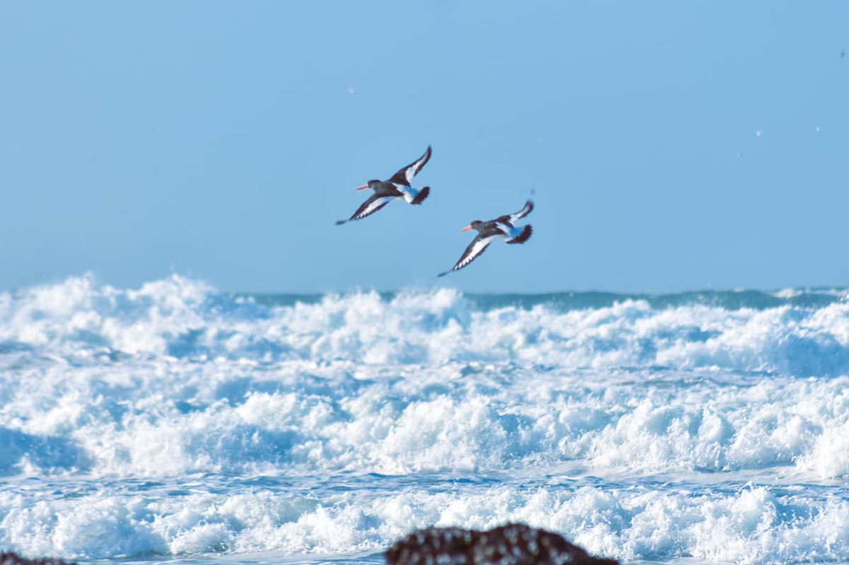 Media Hub tweet media