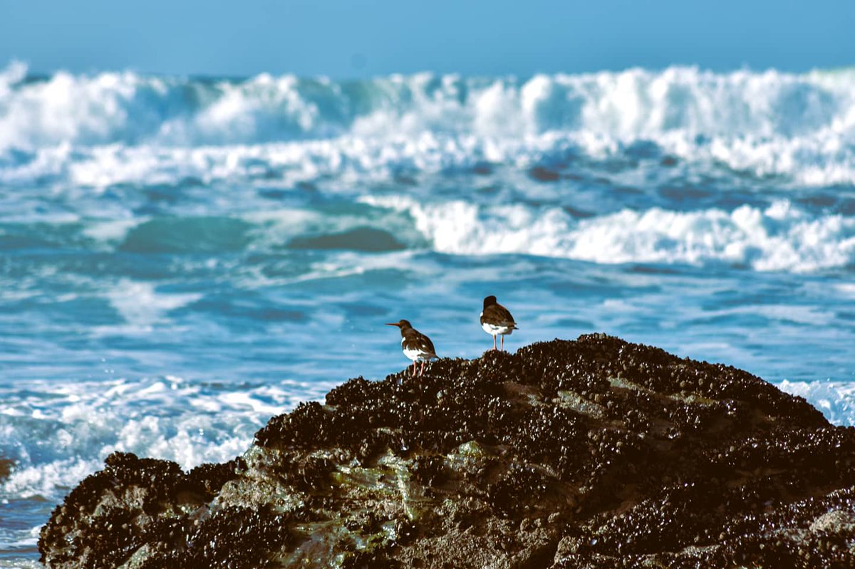 Media Hub tweet media