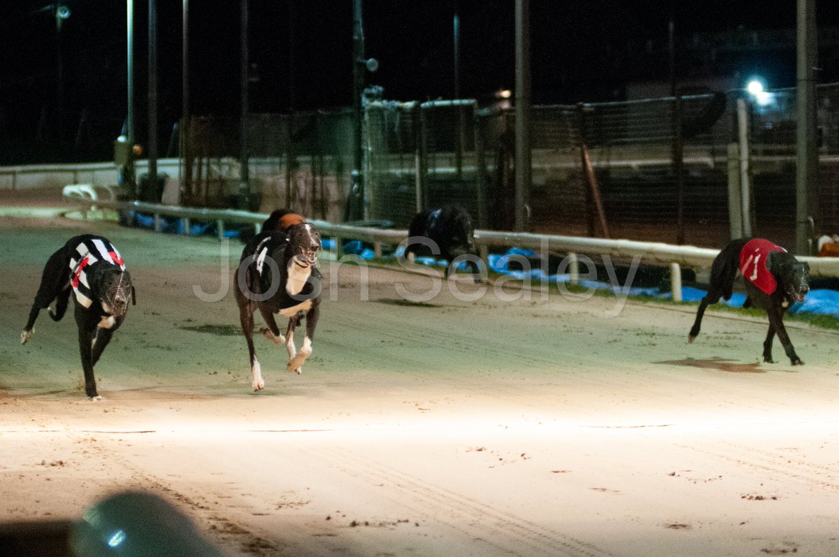 SwindonDogs's tweet photo. π¨Race Resultπ¨
πΊ@SkySportsRacing
β° 19.41
π Race 6
Grade- A3
Follow us on facebook @starsportsbet Stakes
π
π₯ Tolpuddle Jack
π₯ Moanteen Angel
π₯ Ballymac Pin
β±οΈ 28.80
πΈ @Joshsealey https://t.co/FItxjtDuZz