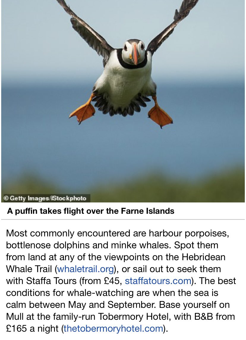 #VisitScotland #VisitMullandIona #dailymail #staycation #isleofmull #westcoast #islandgetaway #scotland #tobermory        dailymail.co.uk/travel/escape/…