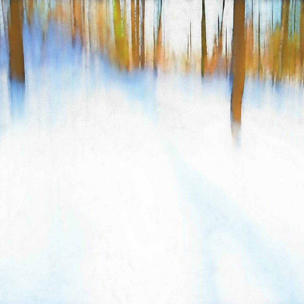 ElleBrucePhoto's tweet photo. FOUND BEAUTY ...
in the colour winter woods. I’ve mostly considered winter to be a white and grey affair... but lately, on closer inspection, I’ve discovered a veritable rainbow of colour out there. What unexpected beauty have you discovered this winter?… https://t.co/pBLSU9ou10 https://t.co/dd48lvpRAz
