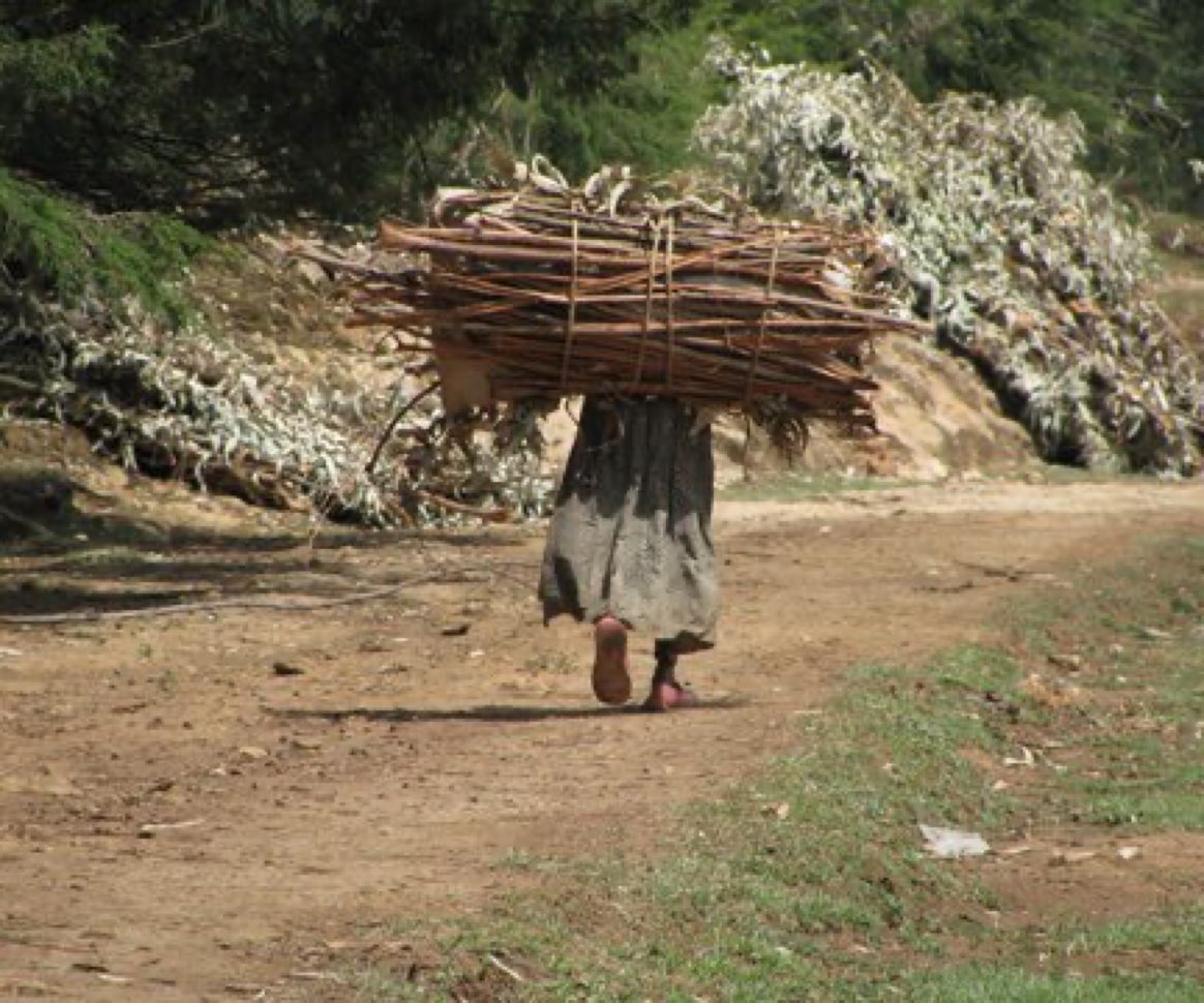 ZerEthio's tweet photo. #GERD is the emancipation of #Ethiopian_Women!
#Ethiopian_Girls travel fetching water from miles away & missing school ; while their momβs travel far for firewood
#BuildTheDam
#GERDisnowcompleted78%
#ItsMyDam
@FLOTUS44 @UN_Women @IWMF @FIFAWWC @girlsalliance @FLOTUS @VP https://t.co/I6v6Qme4MV
