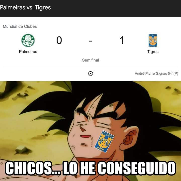 ARTerreno_Juego's tweet photo. @TigresOficial AVANZA A LA FINAL DEL MUNDIAL DE CLUBES

#ARTJ https://t.co/BuNko2tw0v