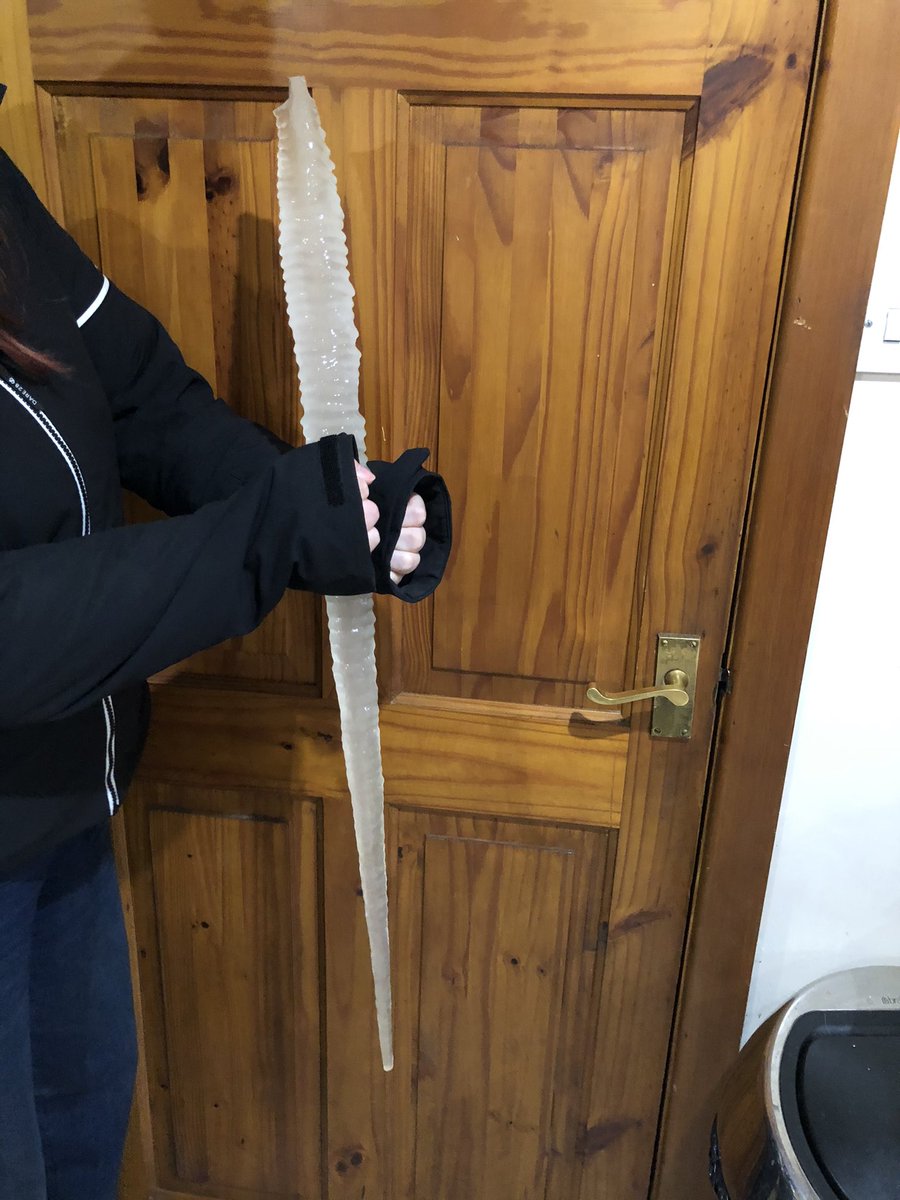 Rough Top Cottage tweet media